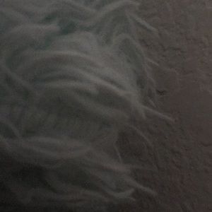 Meet your Posher, Jaylene